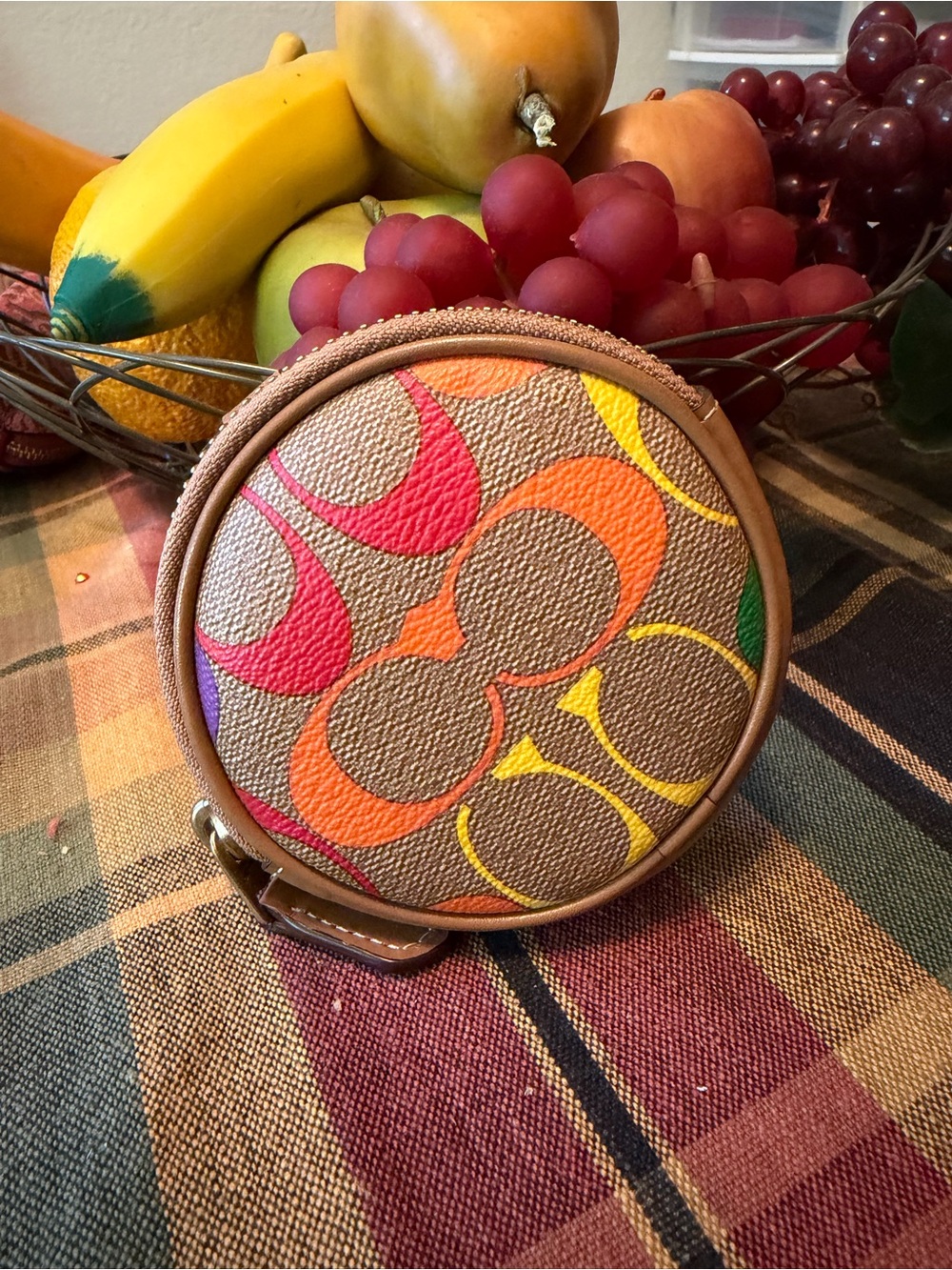 Coach rainbow coin pouch